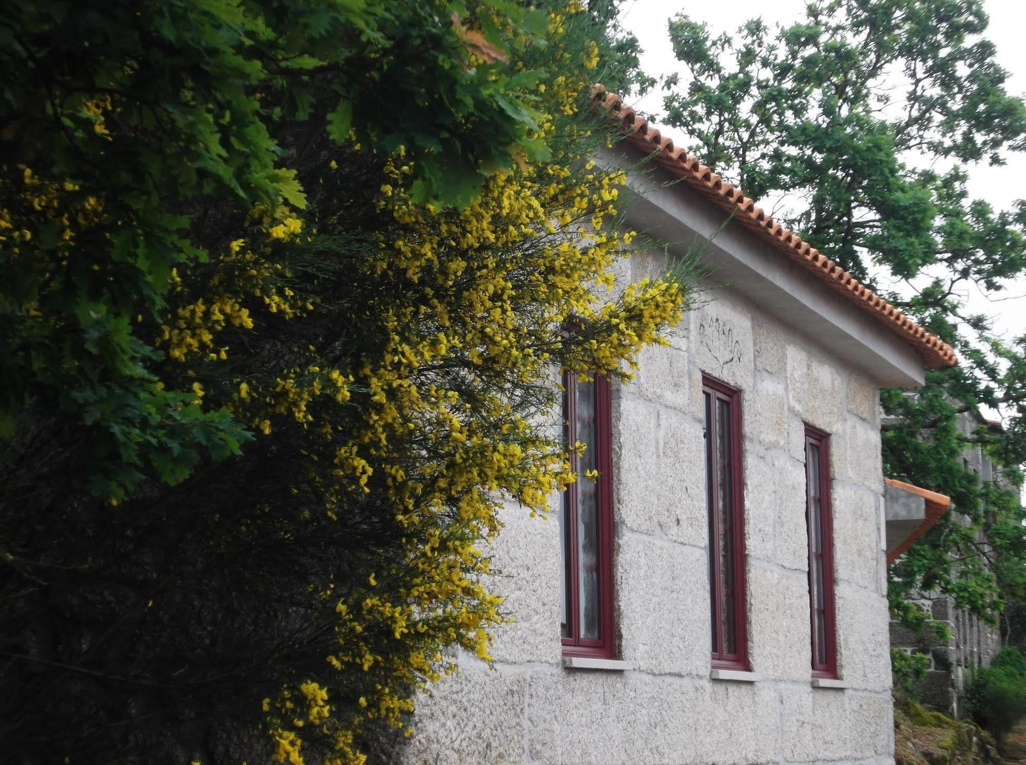 Casa Do Tear Villa Macieira de Alcoba Exterior photo